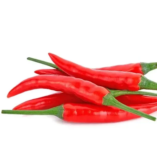 Best Price Chinese Chilli Dried Chilli YiDu Chili Jinta /puya Chilli Chaotian red dry chili