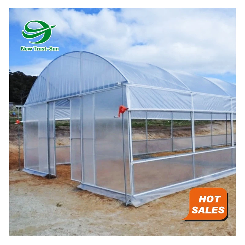 
agricultural green house aquaponics hydroponic system vertical farm plastic Single-Span greenhouse 