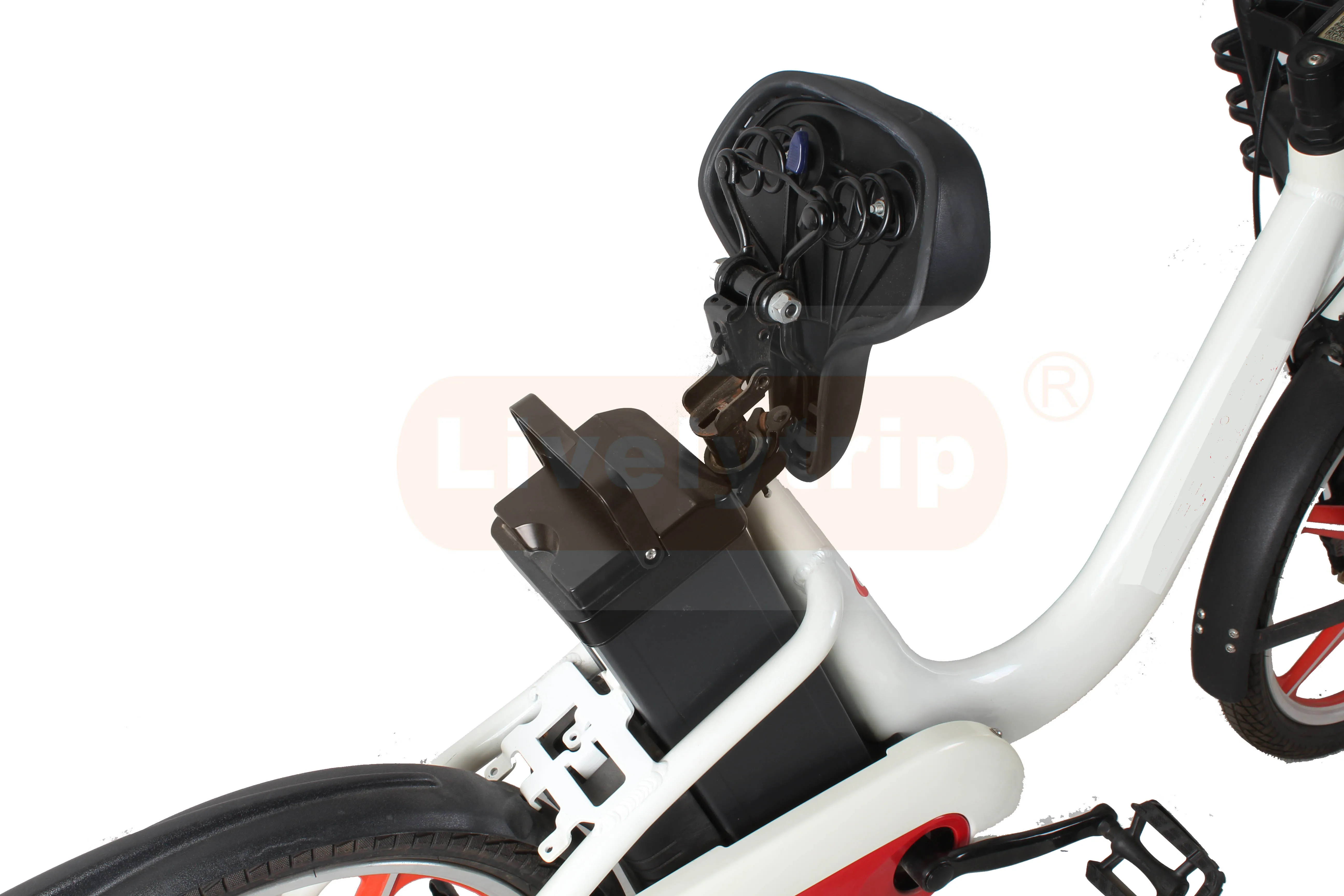 Chinese share electric bike 20 inch 250w rear motor ebike moped bicycle