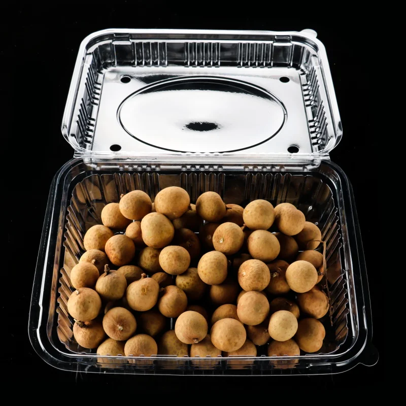 PET clamshell takeaway box plastic disposable hinged fruit container with lid for supermarket