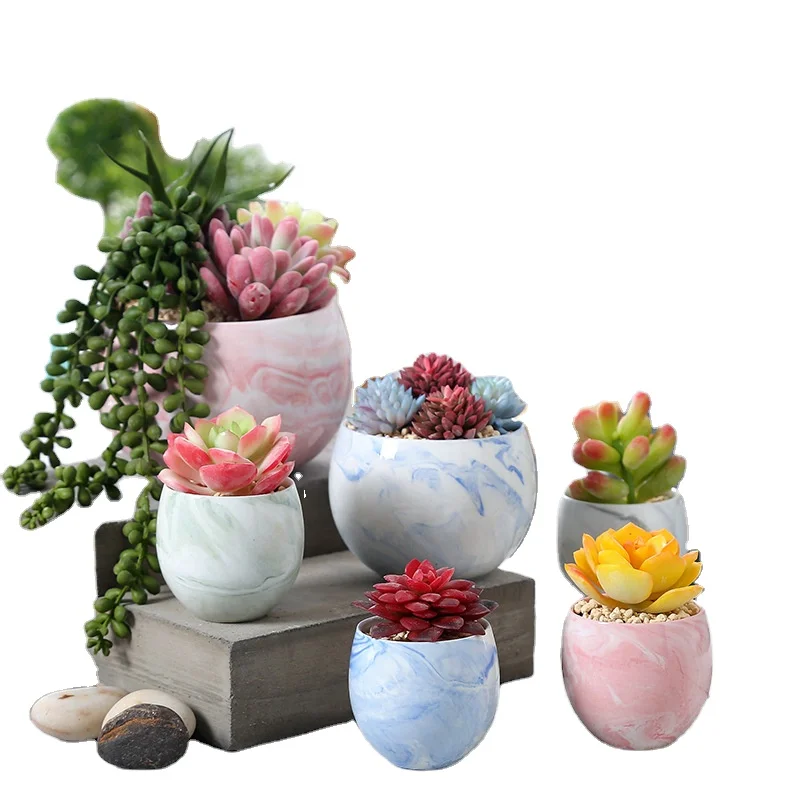 Nordic Creative Simple Succulent Ceramic Flowerpot Desktop Potted Flower Utensil Home Decoration Flowerpot Wholesale