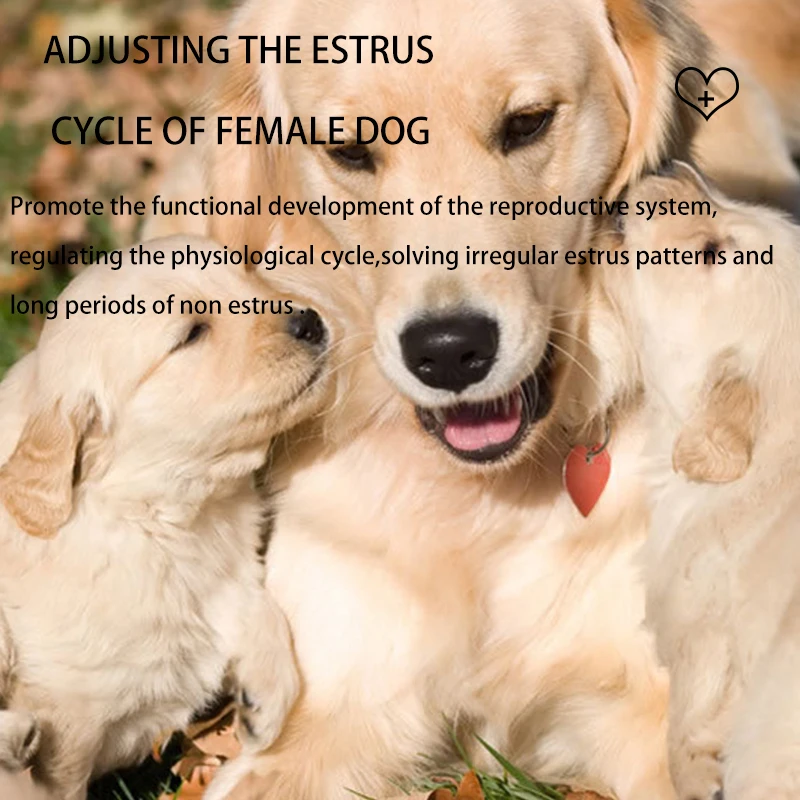 shengyubao supplemental nutrition for female dog improve canine estrus kennel veterinary nutrition vitamin plant protein