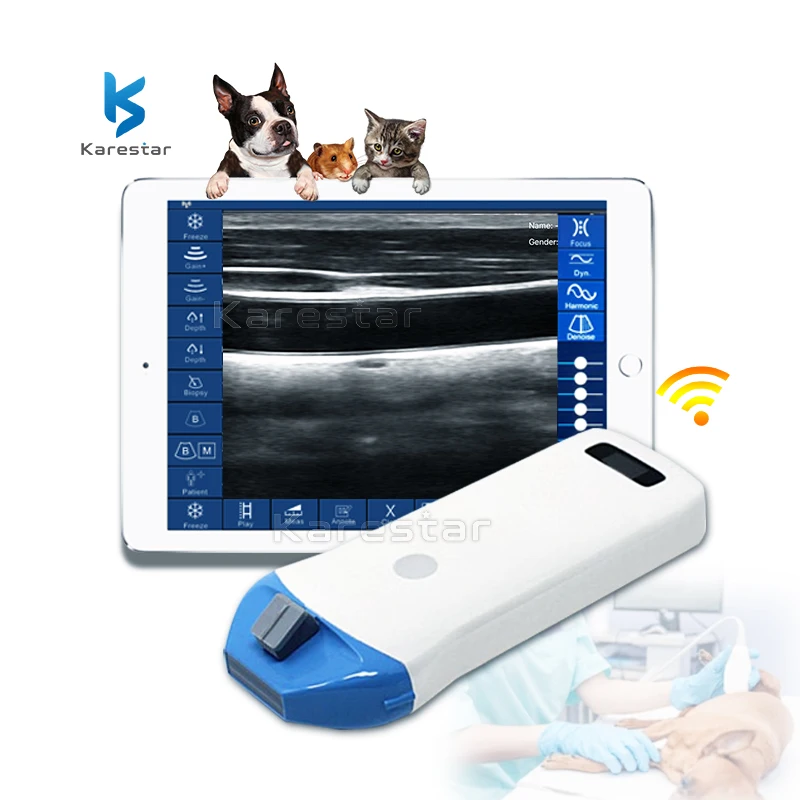 Hot Selling wifi B/W linear Probe Multi-function Mini Handheld veterinary 10/14MHz wireless probe