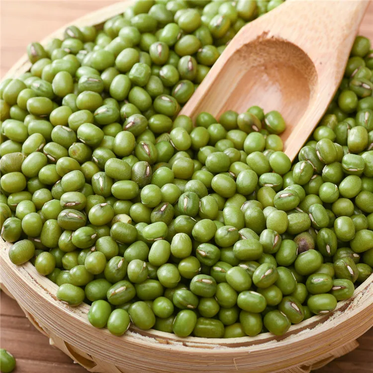  Factory Price Small Mung Bean Vacuum Packing Export Green