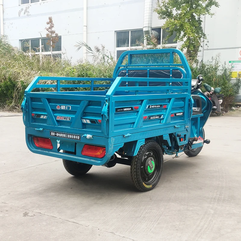 Enclosed Container Express Electric Tricycle Other Tricycles Cargo Bike For Sale