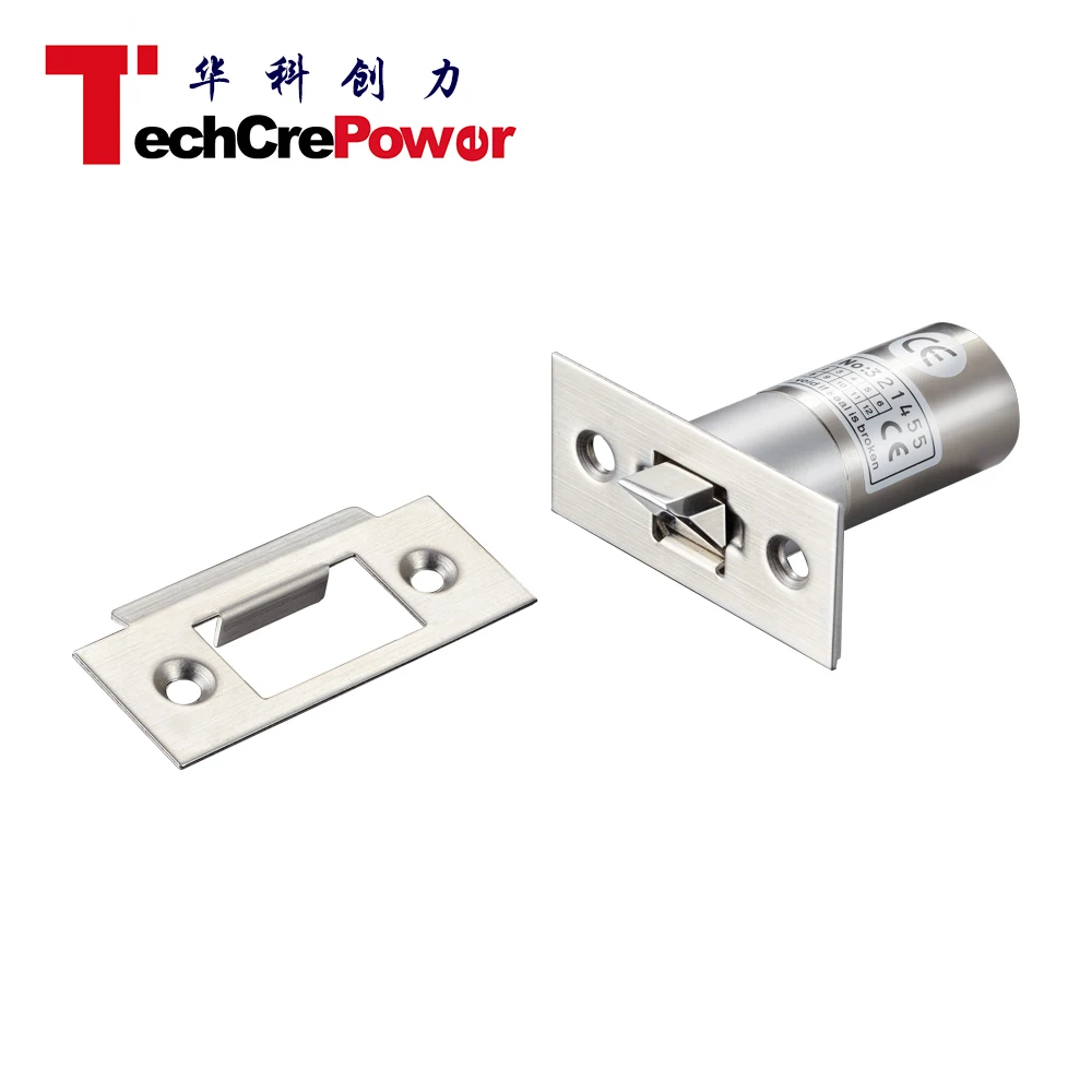 Mini Electric Bolt Lock Fail Safe or Fail Secure DC12V Electric Bolt with Slash Bolt