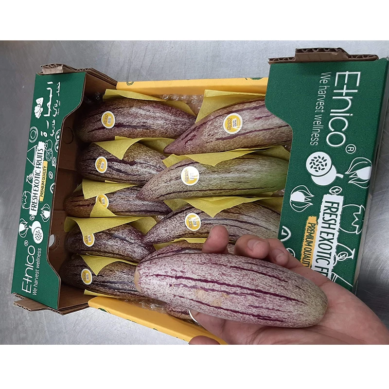 Лучшая цена, поставщик фруктов, сладкая Пепино, дыня, огурец, свежие фрукты