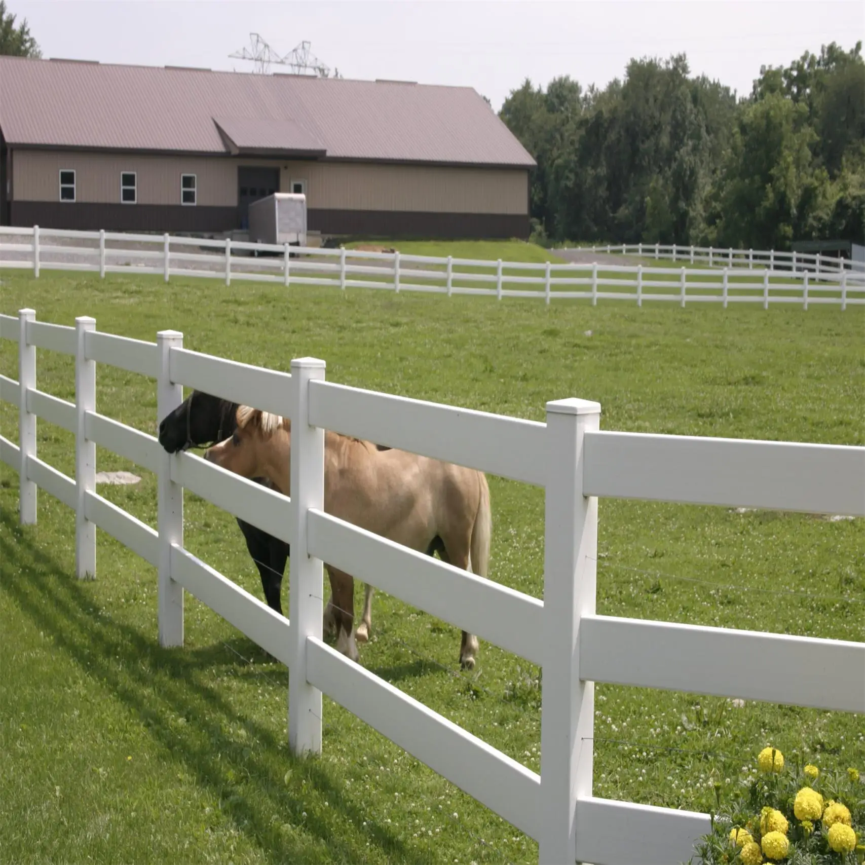 flexible horse fence,horse jumping fence,horse arena fencing