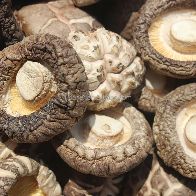 Wholesale Forest Mushroom Organic Dried Shiitake Mushroom Best Dried Shiitake Mushroom