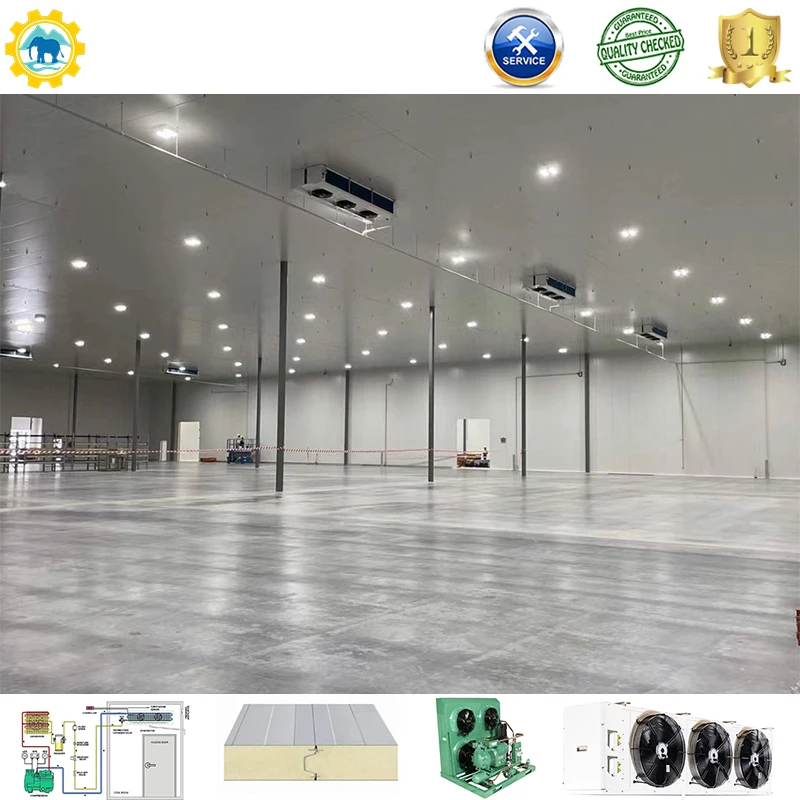 Cold room for dead body Mortuary Freezer Morgue Refrigerator Funeral Corpse Cold Room