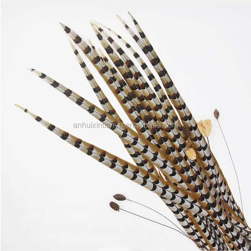 Wholesale natural 10-160cm Reeves Pheasant Tail Feather