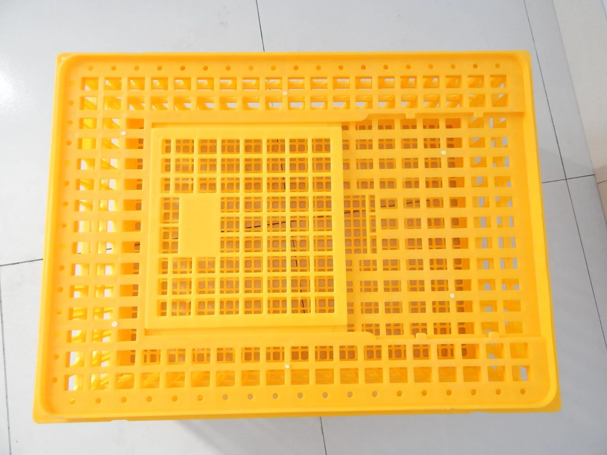 Plastic transport cage for chicken