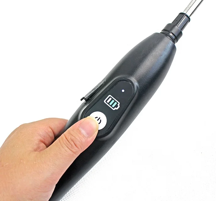 5L Electric Battery Home Garden Sprayer with Battery Powered pump