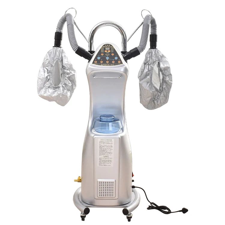 2024 Hot sale Ozone Micro-Mist Nano Hair Steamer Biochemical Instrument Dry Hair Beauty Spa Treat For Hair Salon