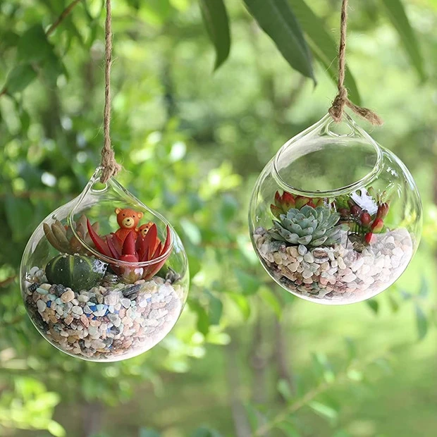wholesale hanging glass terrariums terrarium glass vase glass plant terrarium
