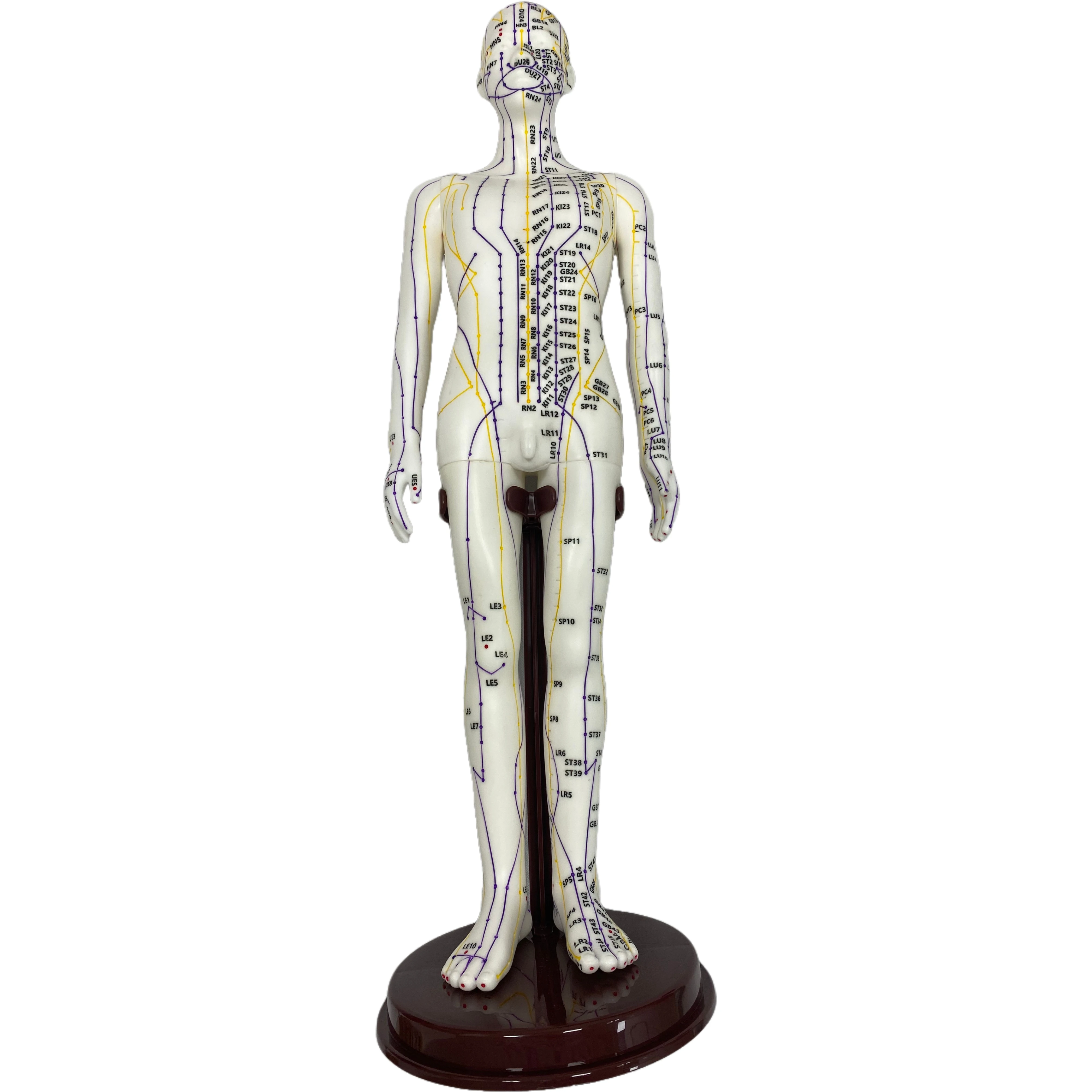 Hot Sale 52cm Man Traditional Chinese Medicine Acupuncture Model Clear Point Soft PVC Material for Medical Science
