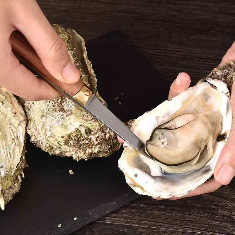 High classic professional oyster shucker opener stainless steel oyster knife for seafood shell open