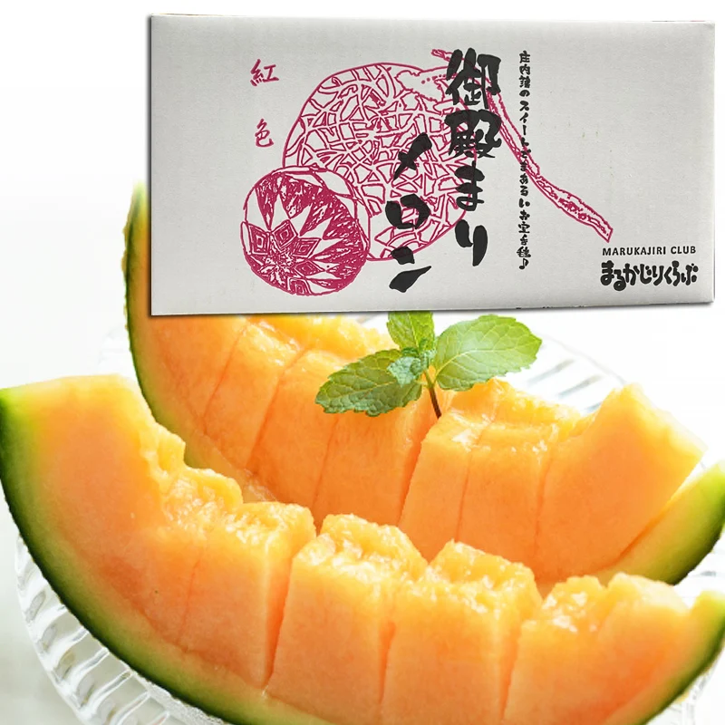 Popular sweet melon importers exotic fresh fruits and vegetables