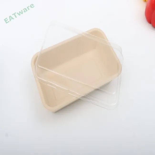 Factory Wholesale Customized Green eco friendly food tray disposable bamboo food tray biodegradable bamboo tray