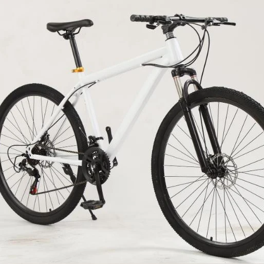 Aluminum Alloy Europe City Bike for Women Fashion Custom full suspension mtb folding bicycle  downhill bike