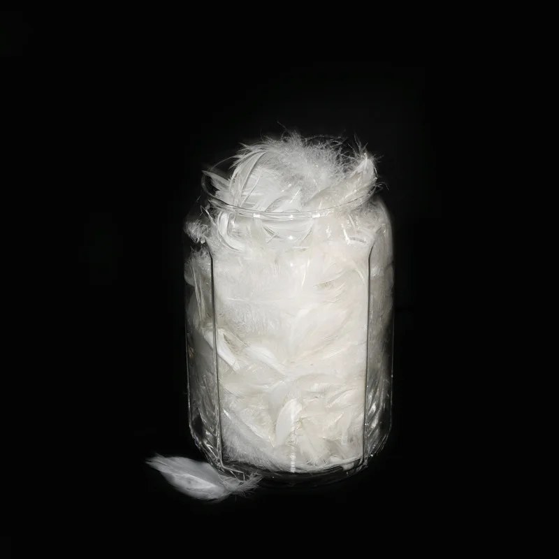 Custom Wholesale Natural White Duck Feather Filling Materials 2-4 Cm