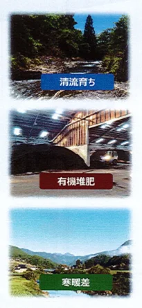 
Restorativenourishing export organic quality rice price wholesale 