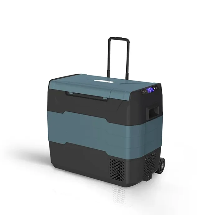 WAYCOOL TEG45 40L Dual Control Car Cooler AC12~24V Low Power Compressor for Outdoor Camping Cars with Wheels