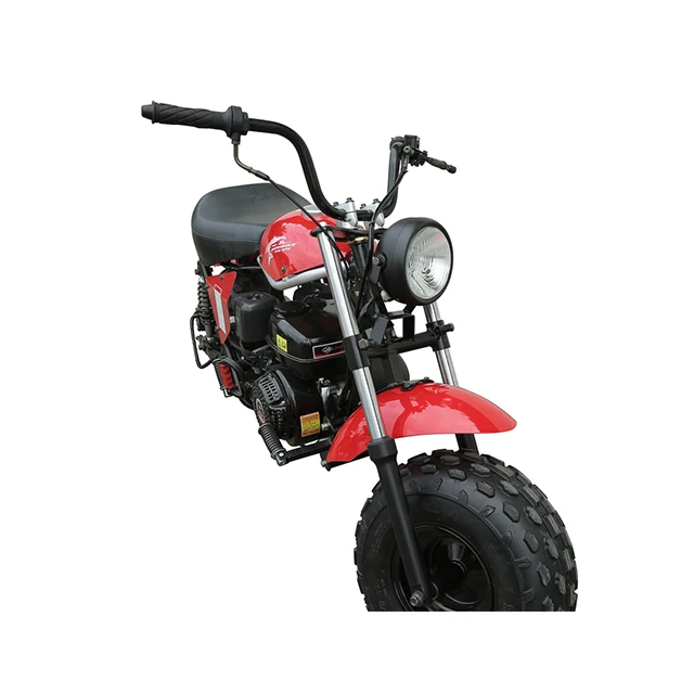 49CC TRAIL BLAZER STORM TBM200 MX196-2 MINI MOTO