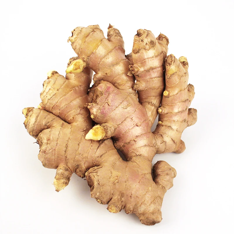 Low price fresh ginger dry ginger good quality fresh ginger