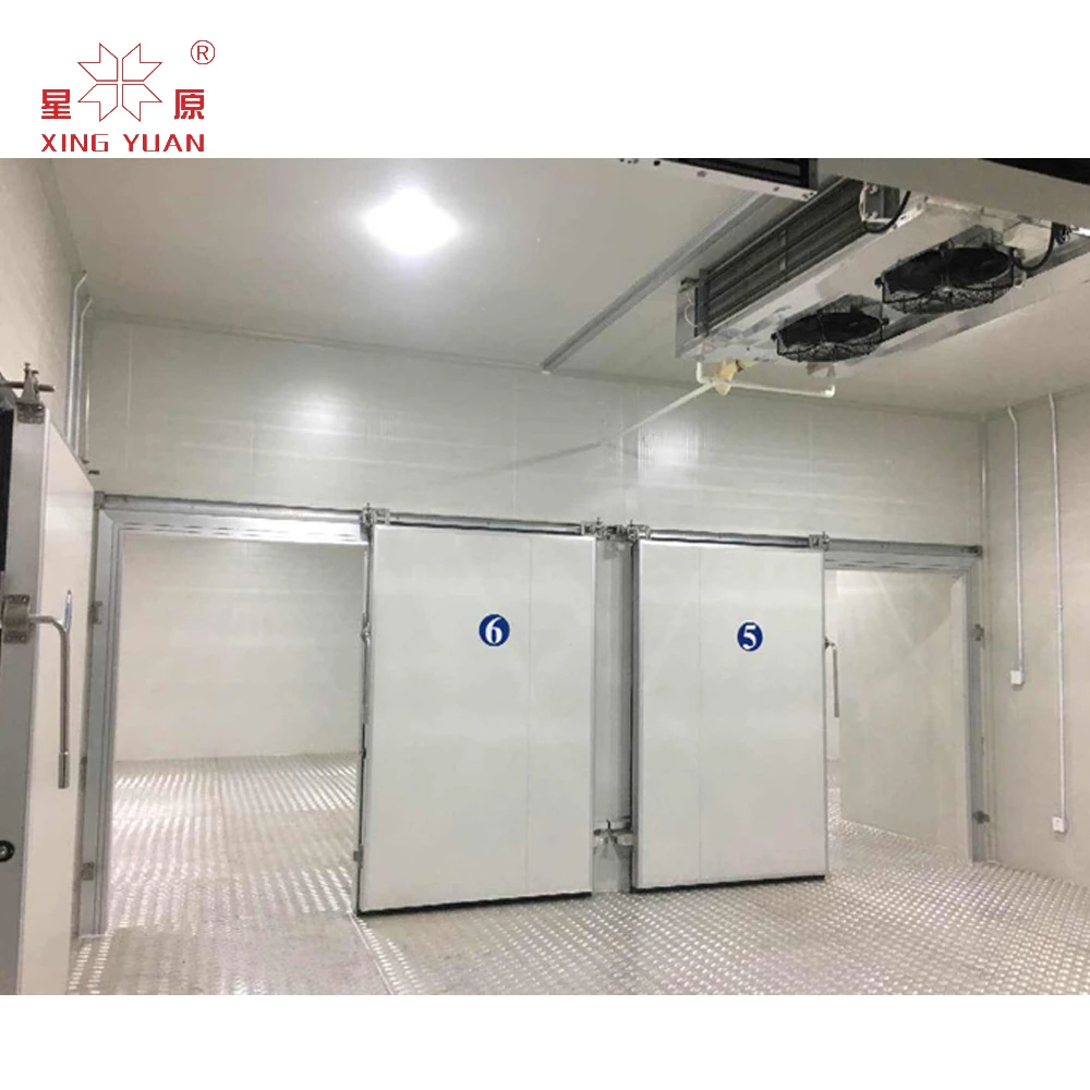 blast freezer cold room for seafood, fish cold room storage from dubai