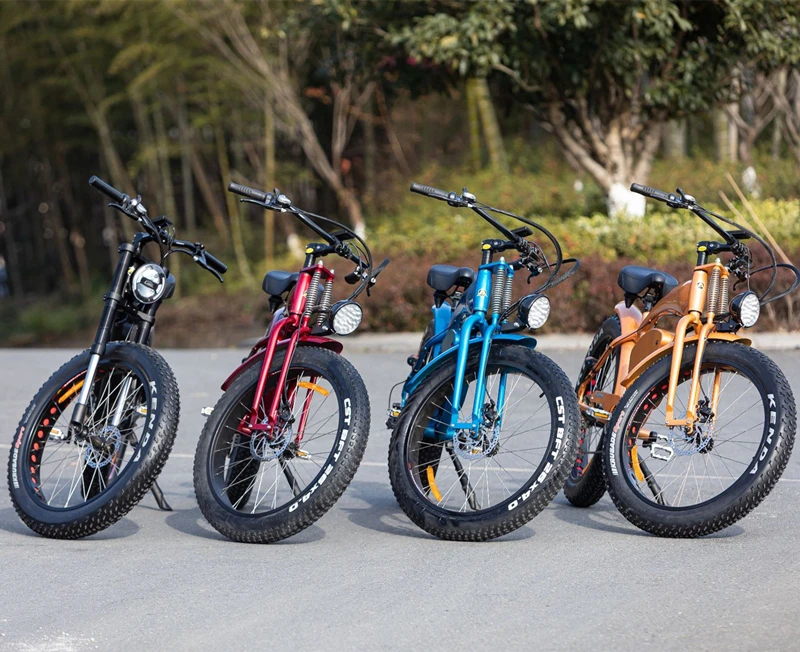 Retro E-bike Eu Warehouse Bicicleta Electrica 750w/1000w Two Seat Electric Bike Fat Electric Bicycle