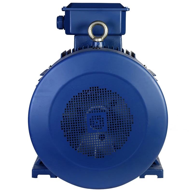 
YE2-355L1-8P 185KW professional production of cheap cast iron AC three-phase asynchronous motor 