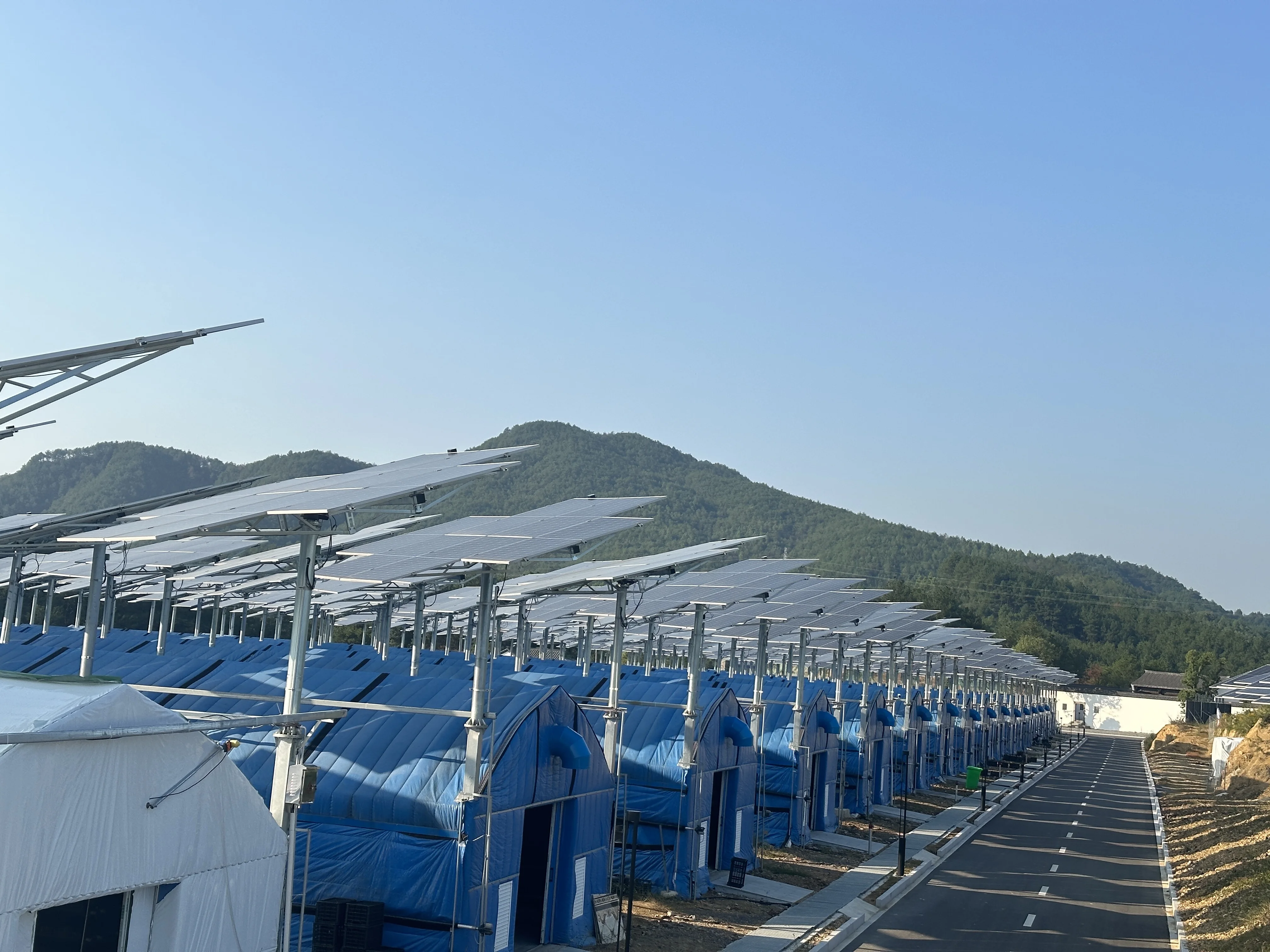2 Axis High Efficiency Solar Tracker for Optimal Sunlight Capture and Energy Generation