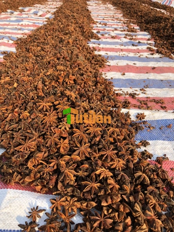 Оптовая продажа с завода самая низкая цена и лучшее качество специи приправы Звездный анис чистый Вьетнам