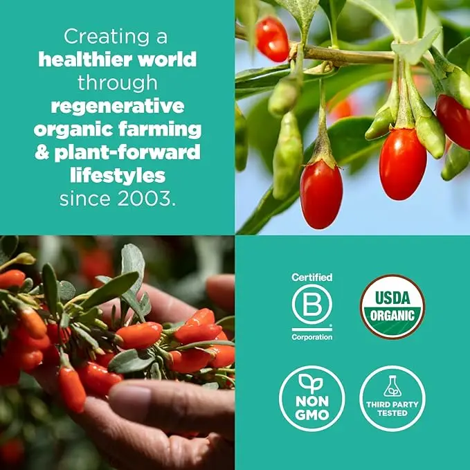 Factory Supply Antioxidant Supplement Goqi Berry Wolfberry Maca Coffee Wolfberry Powder Wolfberry