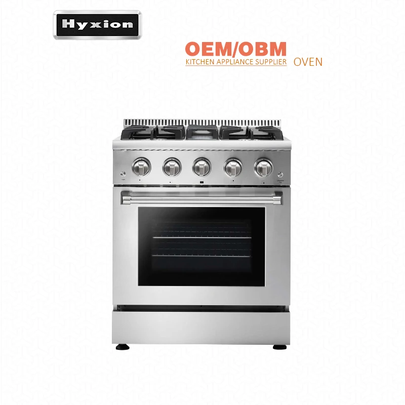 Hyxion 220v Новый дизайн комбинированный пар небольшого размера газовая Коммерческая печь