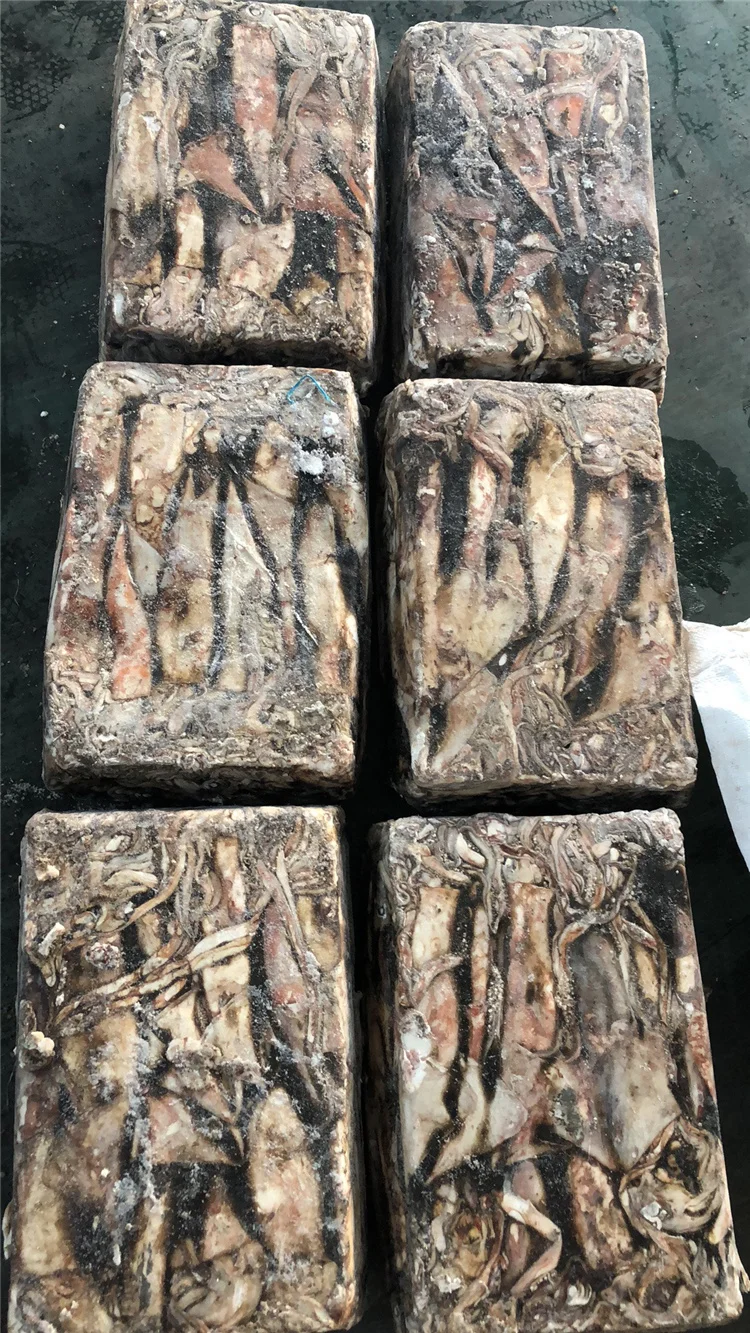 Гигантского кальмара Перу кальмар dosidicus gigas