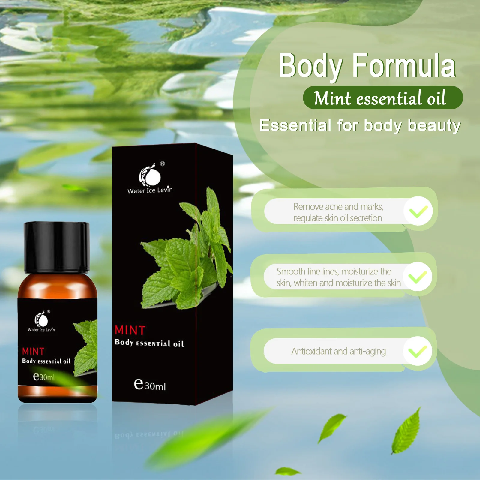 Body care essential oil natural mint plant massage oil nourishing SPA body massage essential oil
