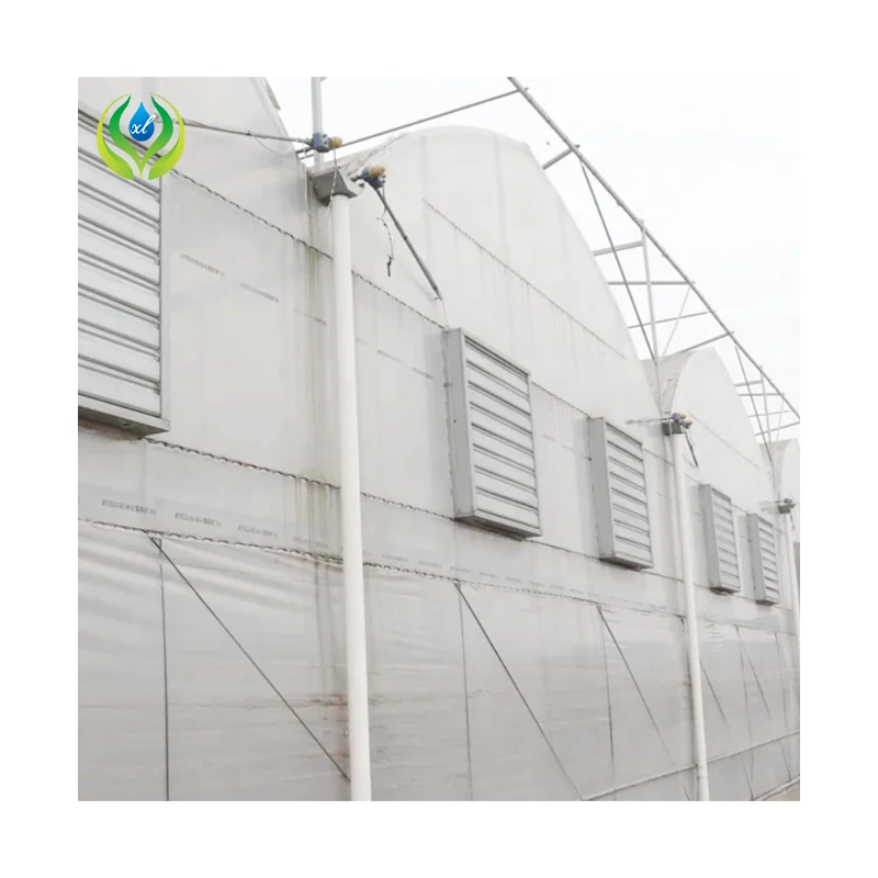 MYXL China Economic Plastic Film Green Houses Plastic Metal Frame Agriculture Commercial