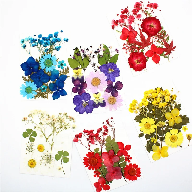 M026  Mixed Pack Iphone Case Jewelry Necklace 12PCS Dry Pressed Flower Art Real Natural Dried Pressed Flowers For Crafts DIY