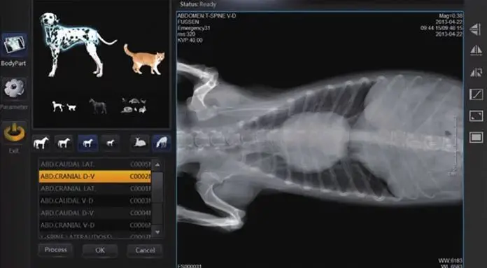 High quality 17x17in	Flat Panel Detector Digital Wireless X-Ray Machine DR RX Flat Panel Detector