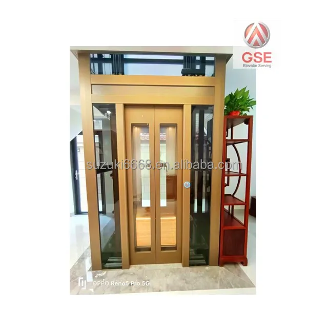 GSE Selling elevators for homes Suzuki elevator Small Villa Indoor Elevator Outdoor