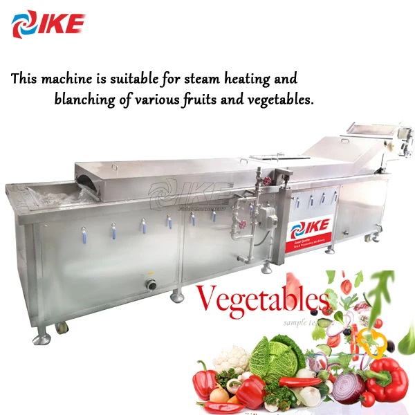 Industrial Large Batch Fruit And Vegetable Cooling Machine Chinese Cabbage Cucumber Mushroom Blanching Food