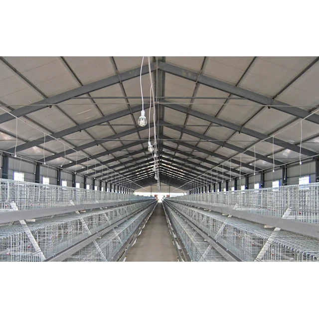 Fully Automatic Broiler poultry house Farming design chicken farm