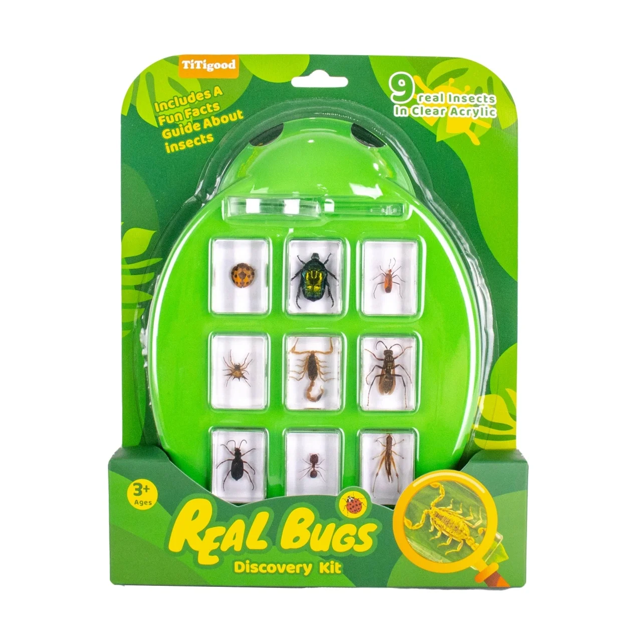 Wholesale Educational Insect Specimen Toys for Kids Early Nature Exploration Toy for Children