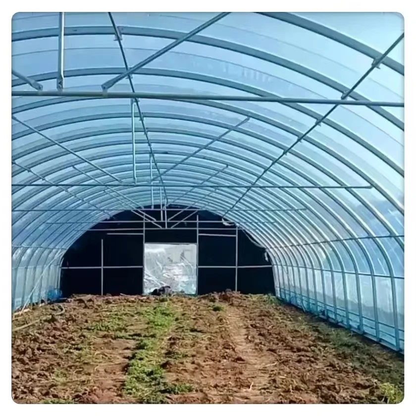 Оптовая продажа большая Однопролетная овощная пластиковая теплица сельское хозяйство арочный туннель тепличная пленка стальной материал завод