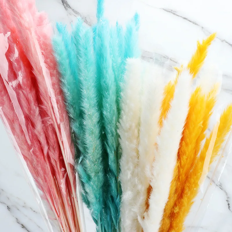 Оптовая продажа, натуральные сухие цветы, сушеные пампасы, трава, нефраммиты, искусственные цветы, растения, сушеные маленькие тростниковые цветы