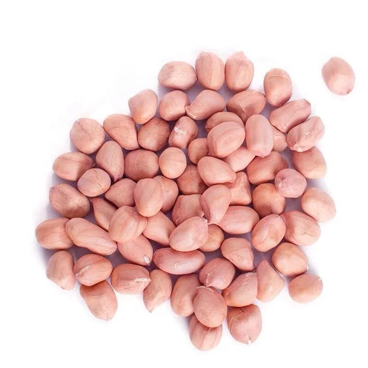 Peanut Kernel Red Skin 24/28 Raw Peanut Kernels China Shandong 25 KG Packing High Quality Peanut Seeds 28/32 For Sale