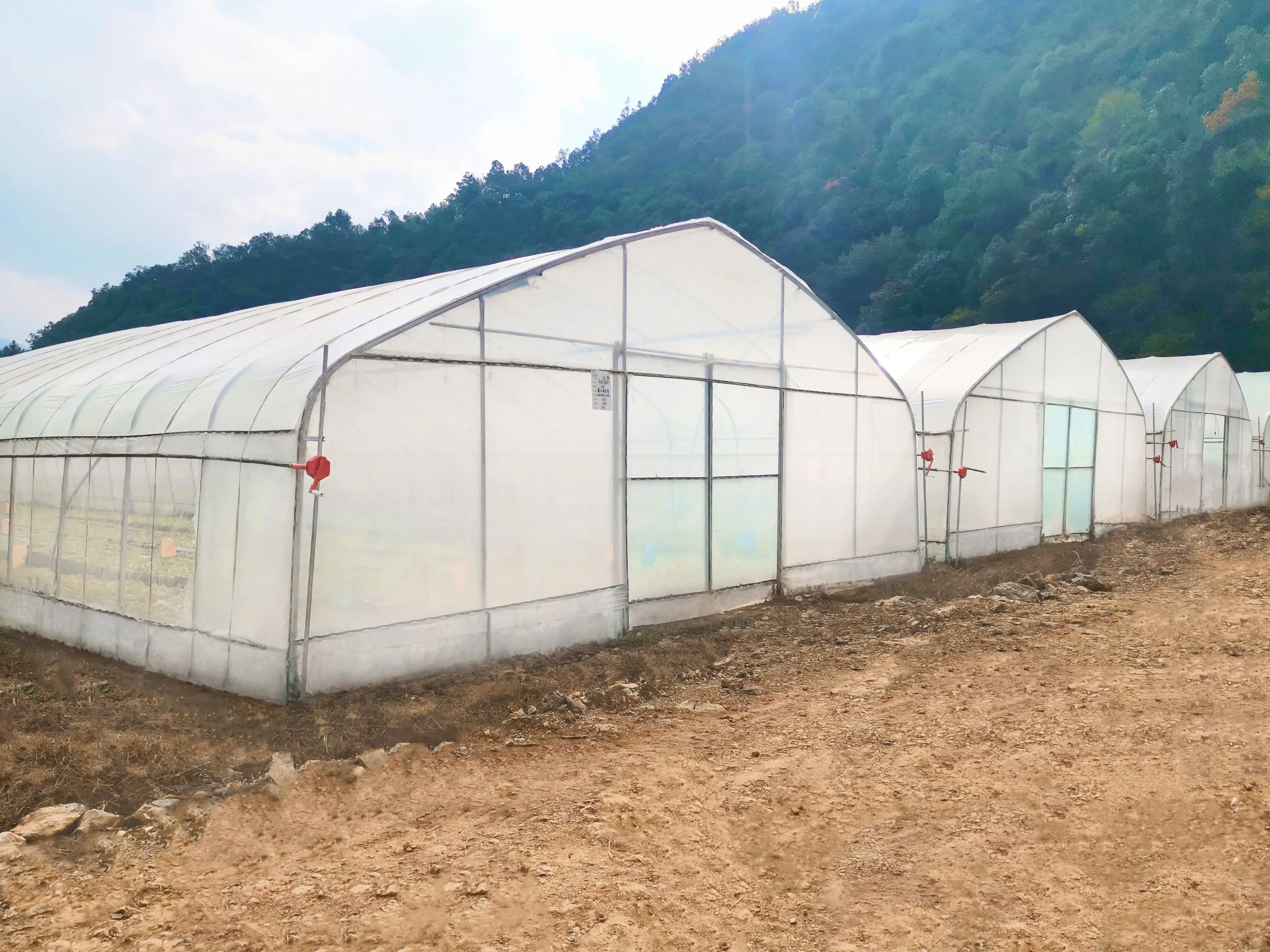 High Strength Commercial Agricultural Equipment Hydroponic Drip Irrigation Tomato Poly Tunnel Film Greenhouse