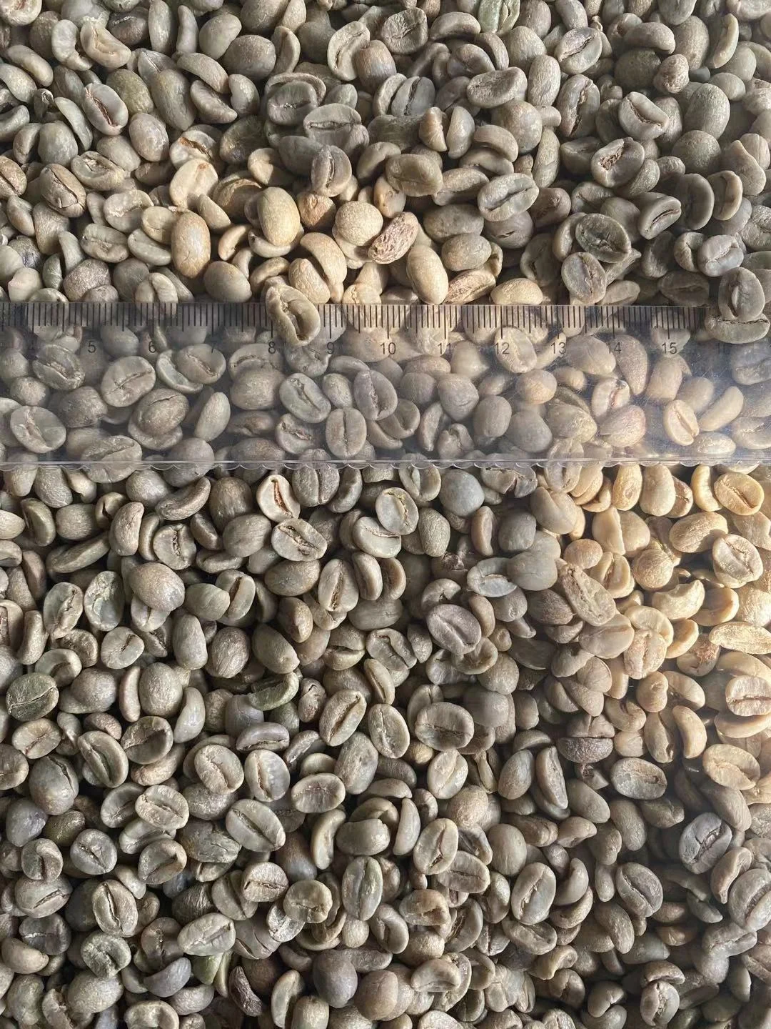 2021  Wholesales Good Quality Arabica Coffee Vietnam